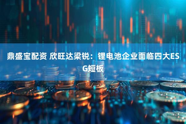 鼎盛宝配资 欣旺达梁锐：锂电池企业面临四大ESG短板