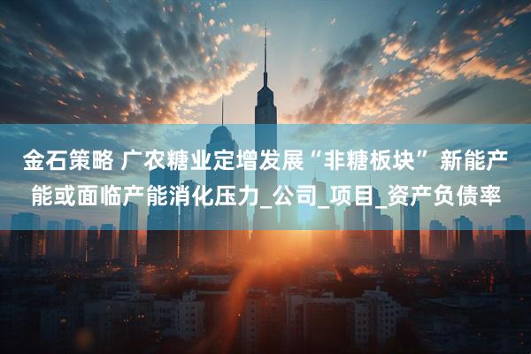 金石策略 广农糖业定增发展“非糖板块” 新能产能或面临产能消化压力_公司_项目_资产负债率