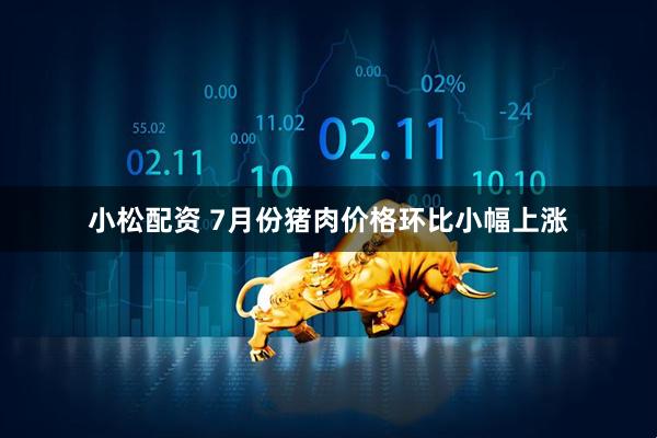 小松配资 7月份猪肉价格环比小幅上涨