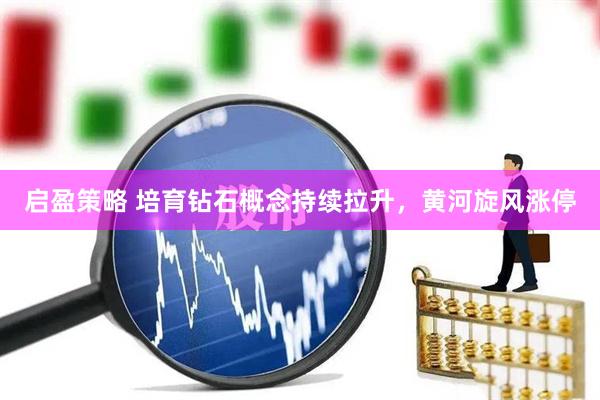 启盈策略 培育钻石概念持续拉升，黄河旋风涨停